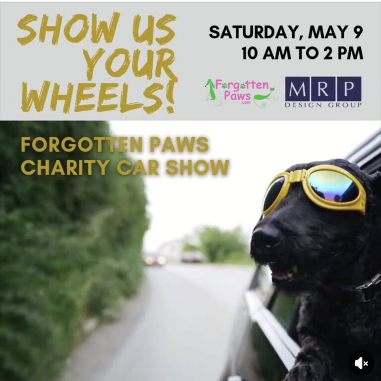 Flyer for Forgotten Paws Car Show Fundraiser