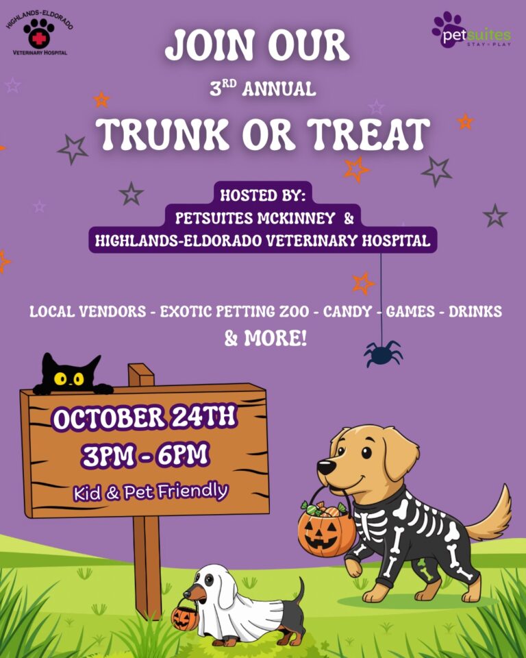 Flyer for Trunk or Treat at PetSuites McKinney