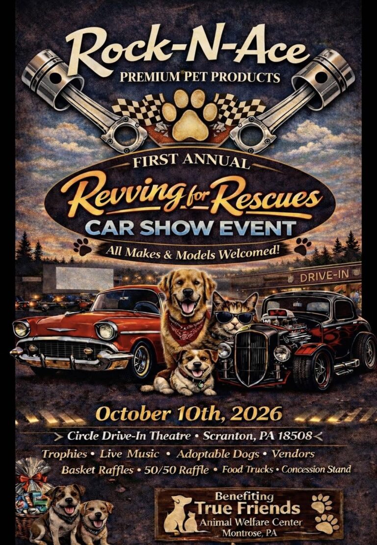 Flyer for Rock-N-Ace Revving for Rescues