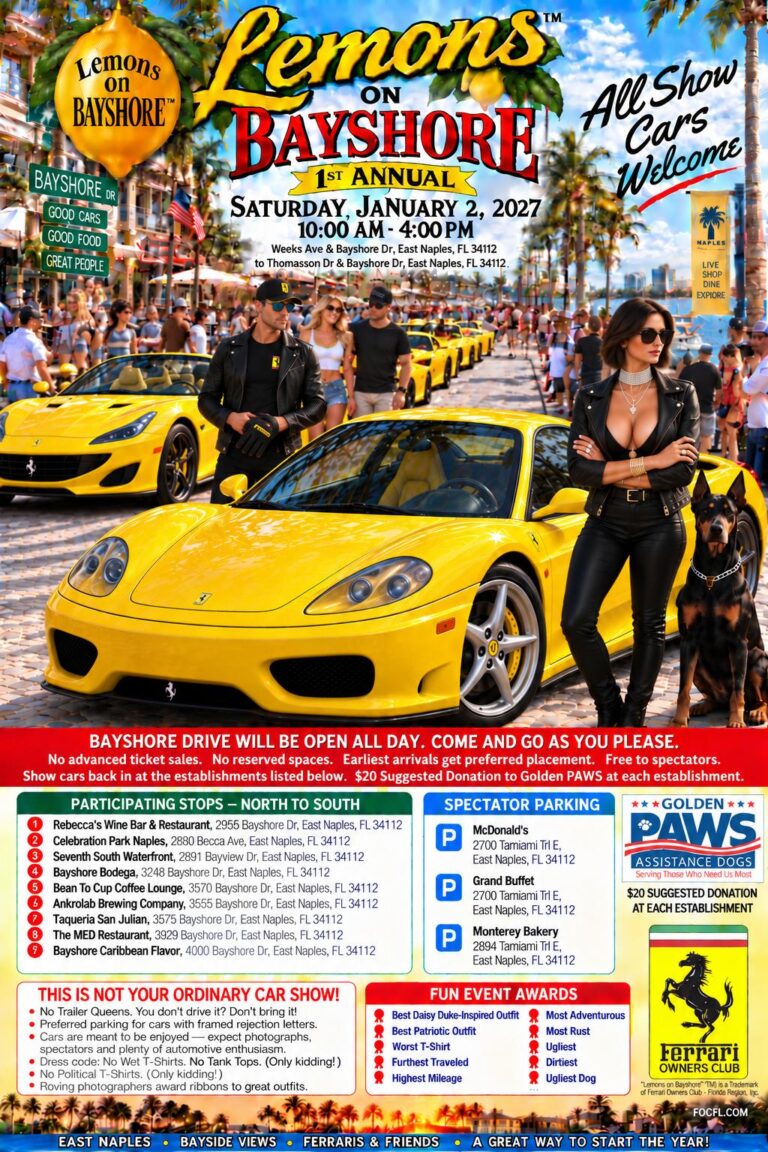 Flyer for Lemons on Bayshore