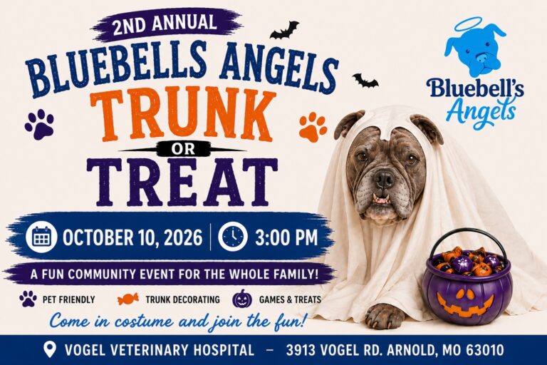 Flyer for 2nd Annual Bluebells Angels Trunk or Treat
