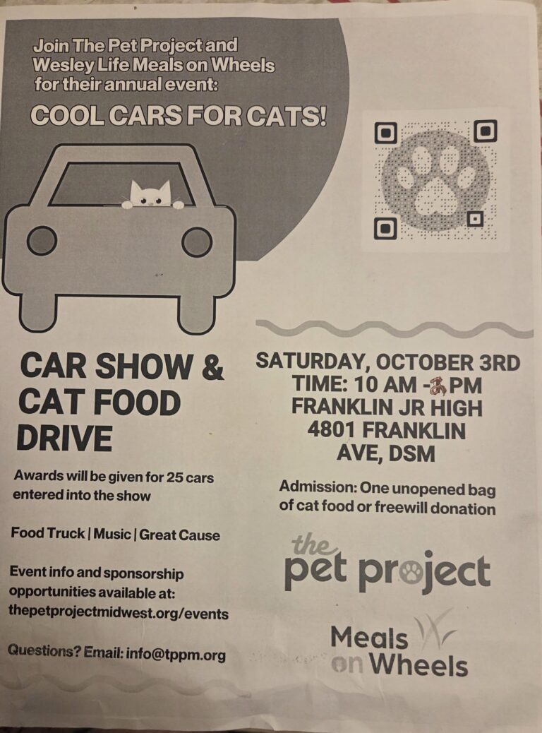 Flyer for Cool Cars for Cats: Car Show & Cat Food Drive