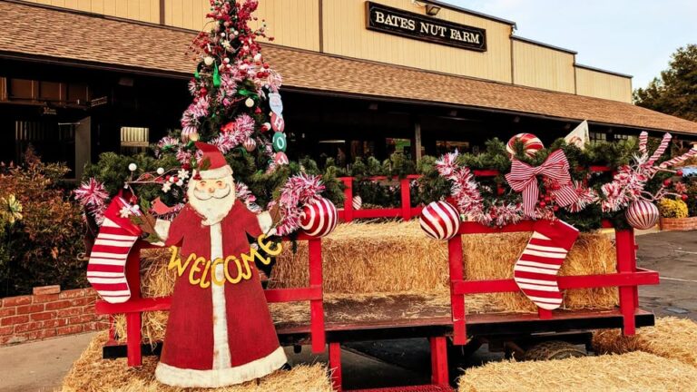 Flyer for Christmas on the Farm