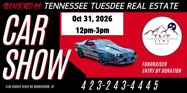 Flyer for Saturday in the South Car Show