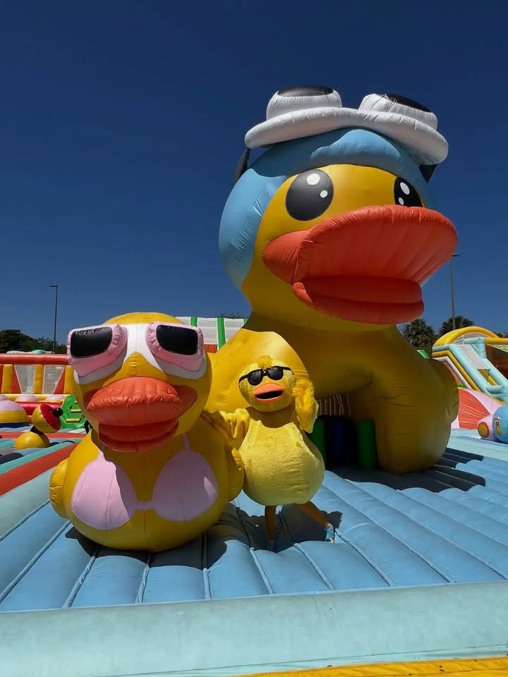 The Royal Duck Bounce Park Graphic